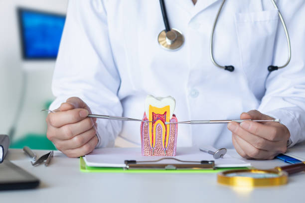 Best Same-Day Emergency Dental Services in Green Level, NC
